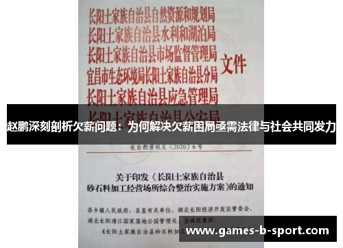赵鹏深刻剖析欠薪问题：为何解决欠薪困局亟需法律与社会共同发力