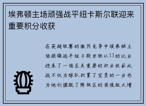 埃弗顿主场顽强战平纽卡斯尔联迎来重要积分收获